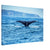 Whale tail disappearing into the depths of the sea

