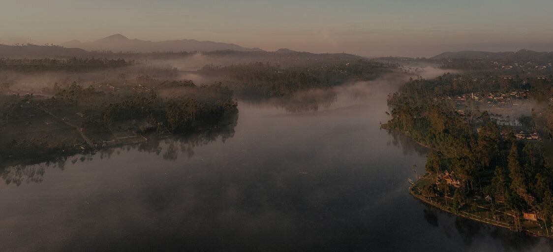 arel view forest river