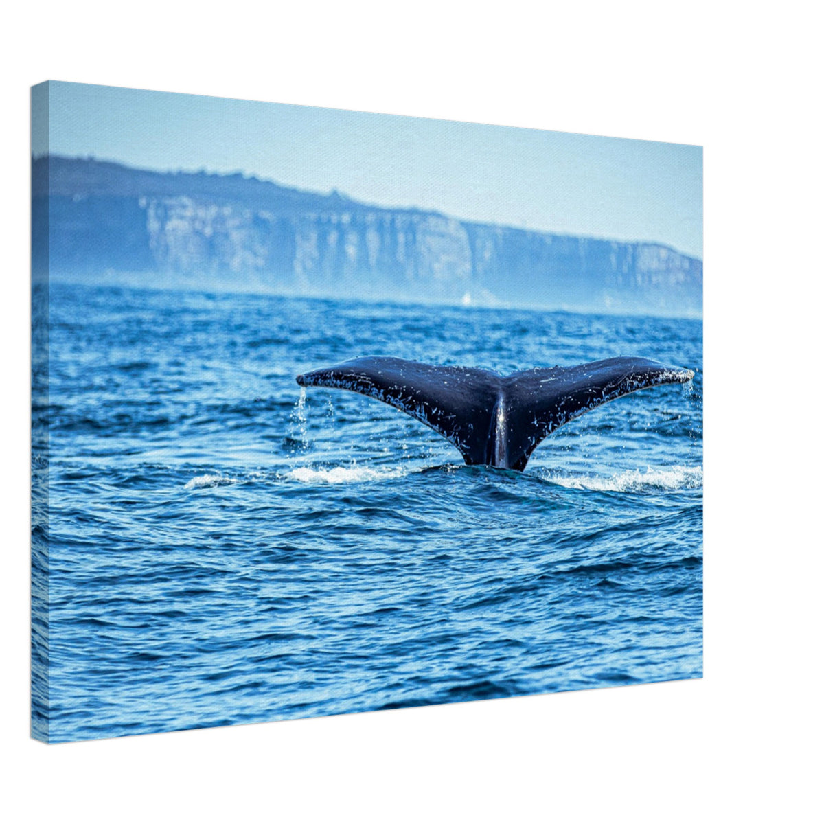 Humpback whale diving with splashes in the foreground

