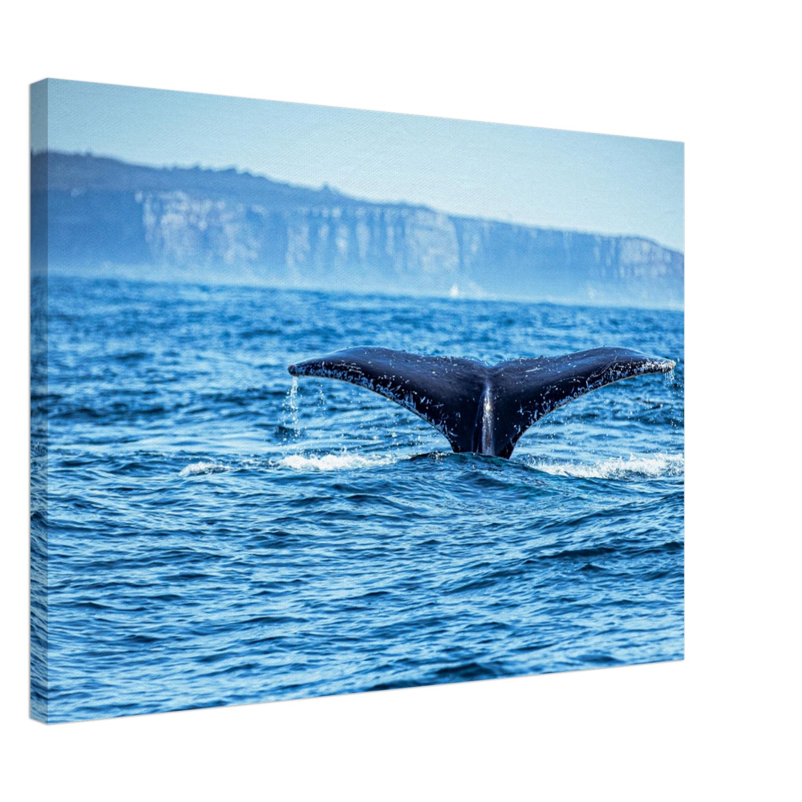 Humpback whale diving with splashes in the foreground

