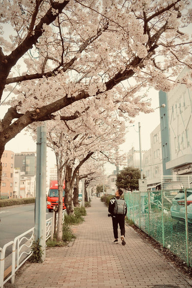 autumn season side street